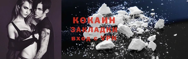 крисы Абаза