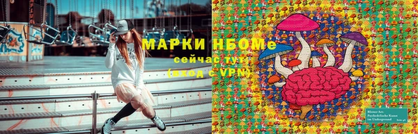 соль ск Алексин