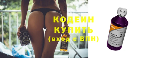 крисы Абаза